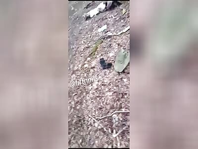 some dead ukrainians pt 3