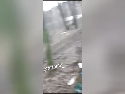 some dead ukrainians