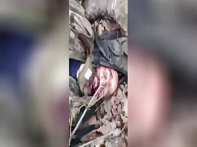 some dead ukrainians pt4