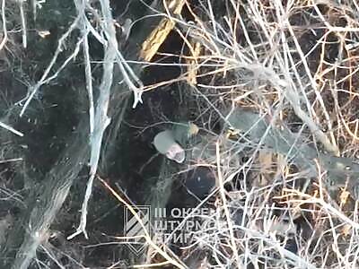 Drones bomb Russians.