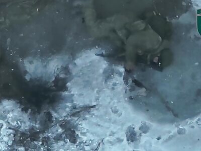 Another Russian soldier grenades himself .