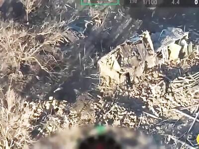 Denazification of Russians near Pokrovsk.