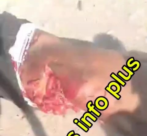 Gang leader butchered by angry crowds 