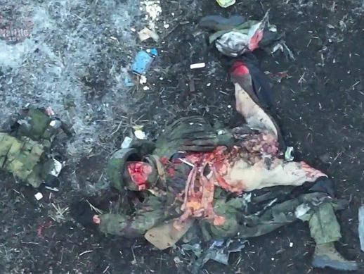 Compilation: Project Homo Zapiens Extermination