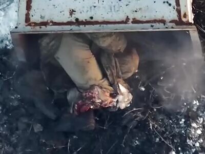 Zigger died in a trash can.