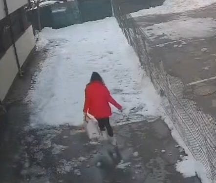 Final Destination: Falling Ice Edition