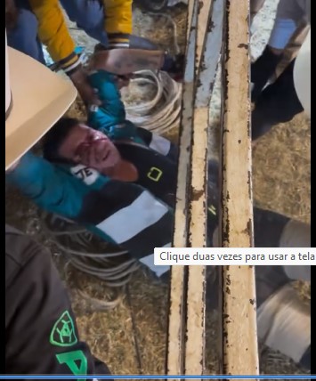 Disfigured by the Bull