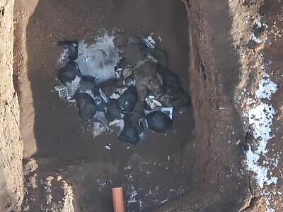 Russian was buried in a garbage dump.