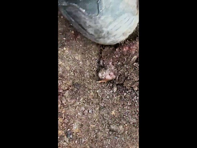 A Russian Playing Around with Comrades Bodyparts