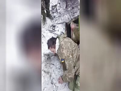 Dead and captured crests from Kursk region