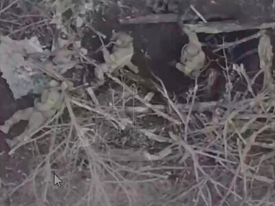 Does anyone know where they disappeared to?