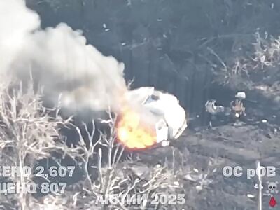 Total extermination of Russians by Madyar (February 2025 compilation)