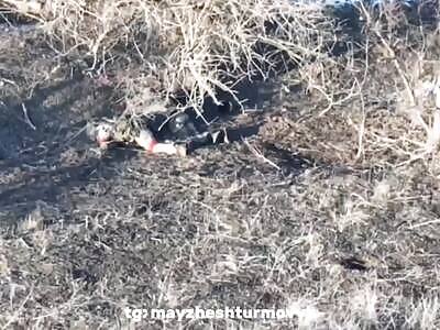 The hunt for Russians continues