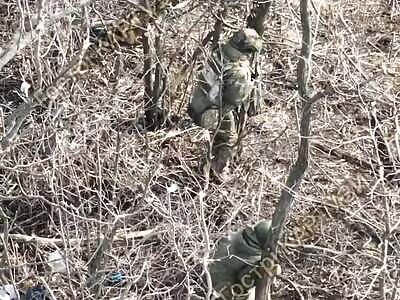 Ashes to Ashes, Dust to Dust