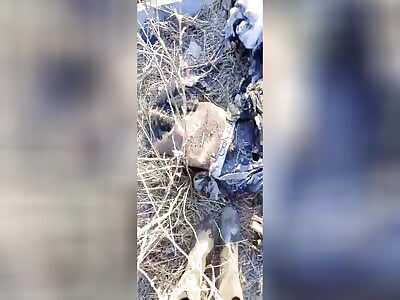 Russian soldier collects his comrade piece by piece.