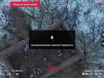 Crests have found a truly 