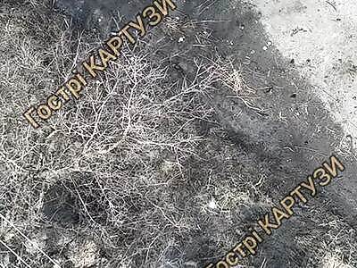 Excellent liquidation of Russian infantry.