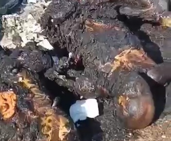 [BARBECUE TIME IN SYRIA]RIVAL BURNED BY THE HTS