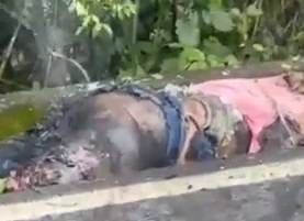 Trafficker Smoking From Ass After Accidental Bomb Explosion