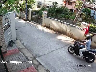 Accident. Bizarre Ending