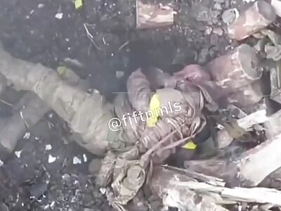 The boar managed to beg for mercy and was taken prisoner