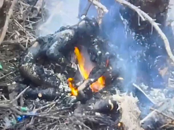 A Cozy Spring Bonfire, OR, Two Roasting Russians? 