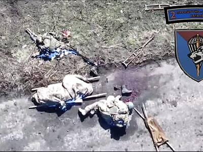 Some rotting Russians.