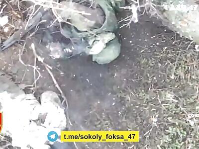 Dropping grenades on Russians.