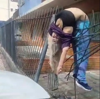 Shocking & Crazy Accident in Brazil