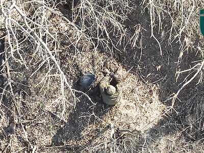 The Russians are literally losing their heads.