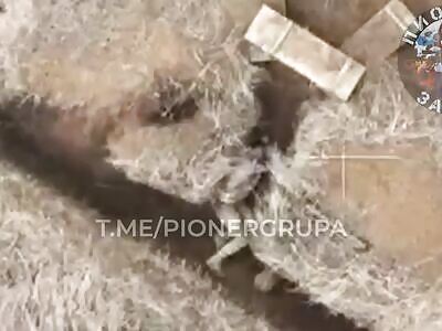 A stupid Ukrainian is playing hide-and-seek.