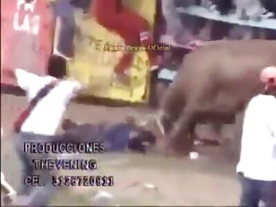 Another Brutal Bull Attacks