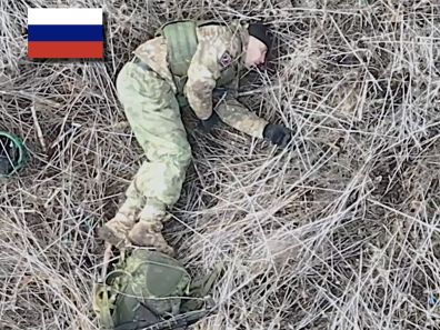 Seems Shrapnel Landed a Juicy Gut Punch Here