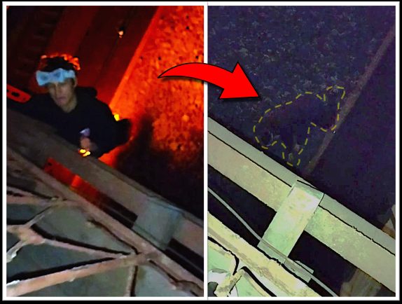 Night Climbing Birdbrain Zapped, Falls & Dies