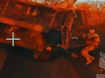 The Tiger UAV detachment