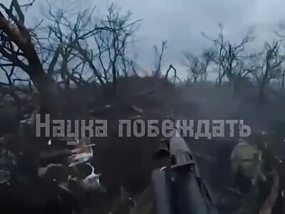 Storm AFU trench dead + POWs