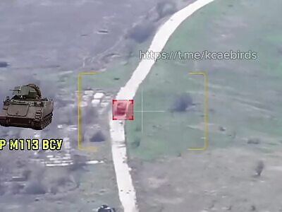  M113 flies at full speed into a mine barrier -  Kupyansk direction
