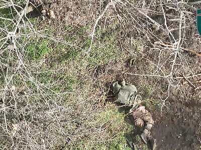 Russian with a naked torn ass.