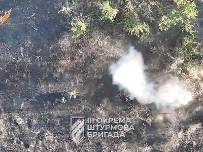 Evil mosquitoes send Russians to hell.