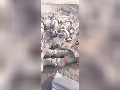 More Russian fertilizer for Ukrainian soil.