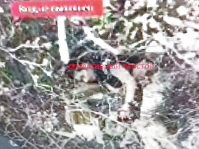 Ukrainian soldier killed himself