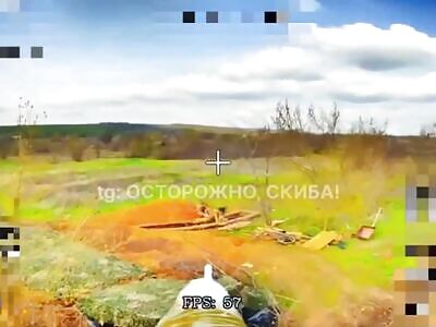 Went to pick potatoes - take care of the widow.