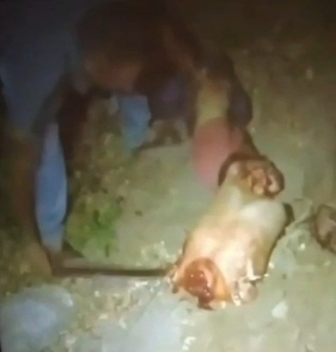 Mexican Cartel Video as Usual