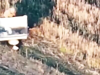 Russian soldier tried to hide under a wheelbarrow. 