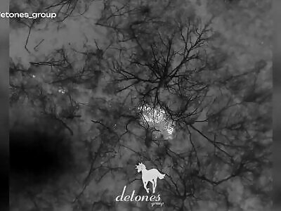 Dead Russians comp II (April 21, 2025)