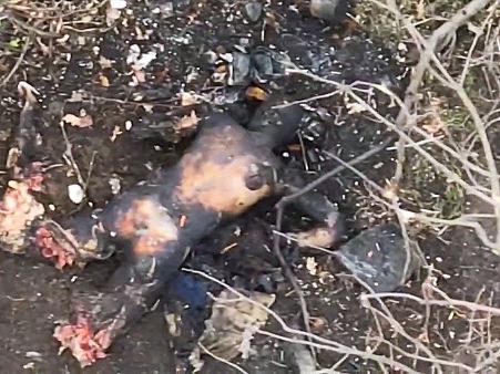 Butcher Drone Hacks Up Couple of Russians