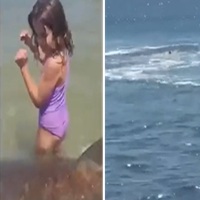 Crazy Shark Attack on Israeli Beach. (Another Angle)