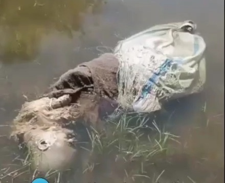 Dismembered Rotten body baged and dumped in river 