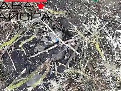 Belgorod borderland, Demidovka area