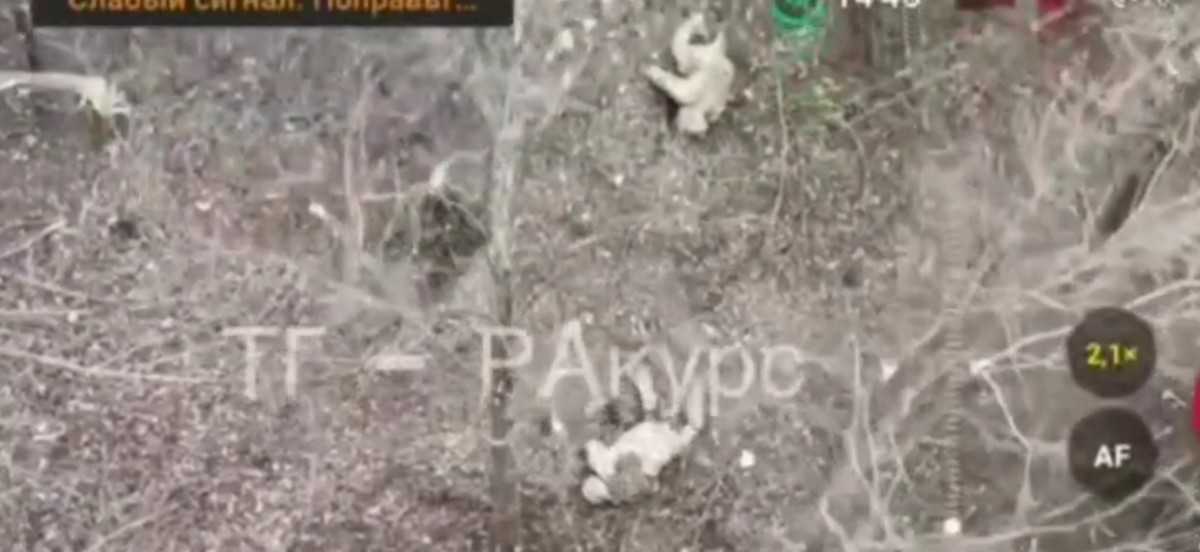 The Ukrainian suicide attacks were a success -8